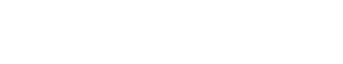 vulf.store logo